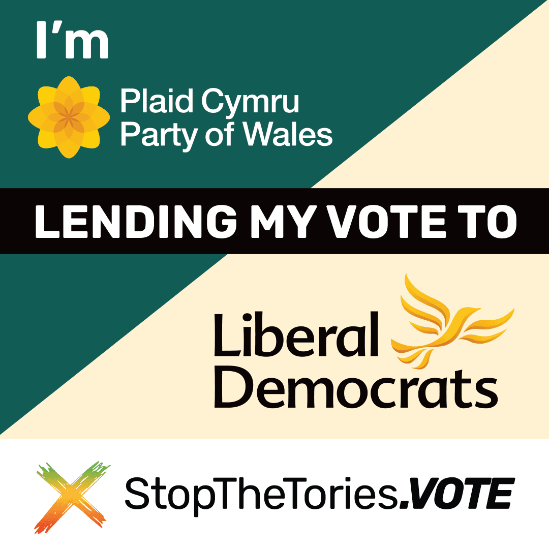 StopTheTories SocialMedia Graphic - I'm Plaid lending my vote to LibDem